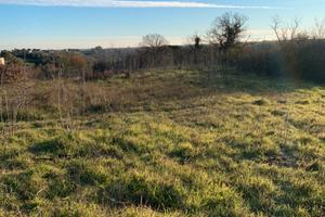 Appezzamento di terra