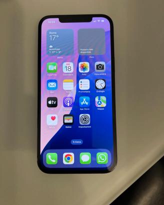 IPHON 12 PRO MAX