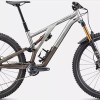 Specialized Stumpjumper EVO alloy 2022
