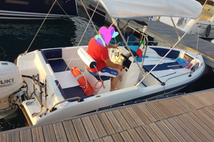 Barca open a motore suzuki 40/60