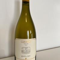 Cervaro della sala 2023