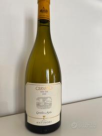 Cervaro della sala 2023