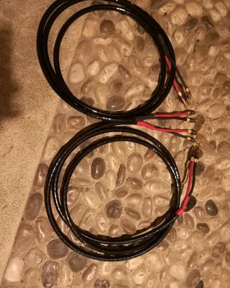 cavo potenza Nirvana audio SL 320 cm