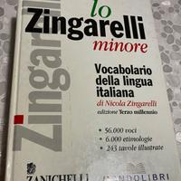 DIZIONARIO “LO ZINGARELLI minore”