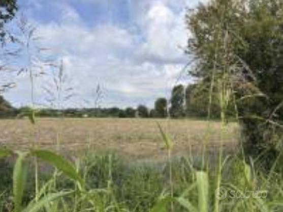 Immobile in asta di 1677 m² a Desenzano del Garda - Vista 2