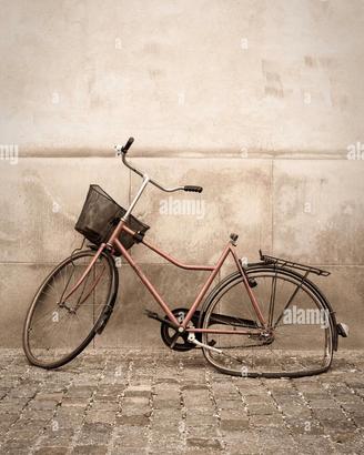 Compr0 bicicletta vecchi a kilo 28 ,26 uomo,donne 