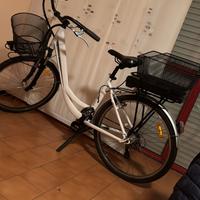 Bici elettrica Wayel