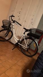 Bici elettrica Wayel