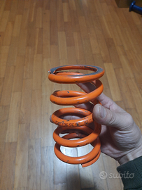 Molla showa mono da trial