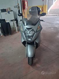 Silverwing 600