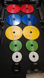 Dischi olimpionici Powergear