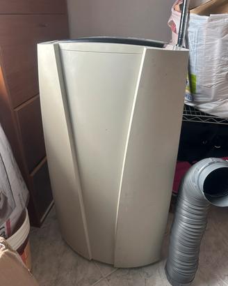 Coppia condizionatori portatili (Delonghi+cat)9000