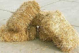 fieno e paglia per presepe e S.Lucia