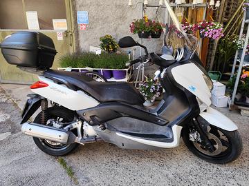 xmax 250 bianco del 2010