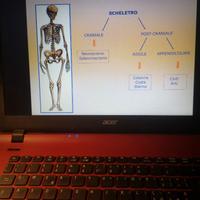 libri scuola liceo scienze umane