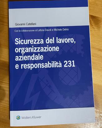 Sicurezza del lavoro organizzazione aziendale