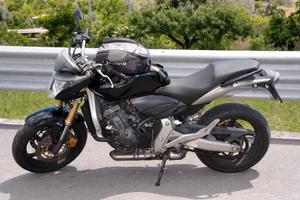 Hornet 600 - Anno 2008