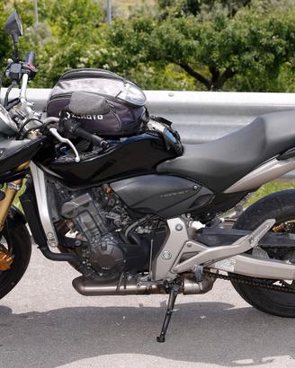 Hornet 600 - Anno 2008