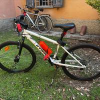 MOUNTAIN BIKE 24”