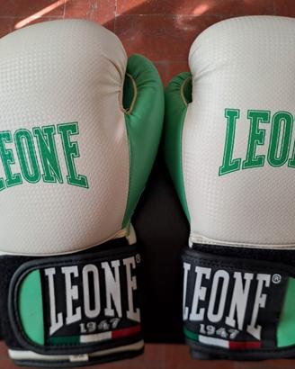 Abbigliamento completo boxe