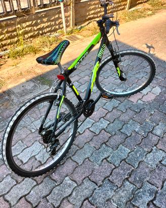 bicicletta MTB 