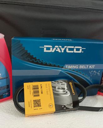 Kit distribuzione Dayco KTB285 + Cinghia servizi 