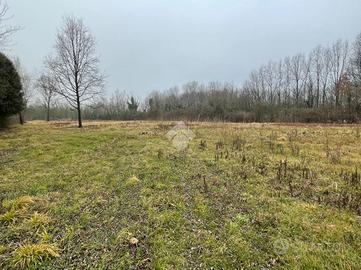 TER. AGRICOLO A CASALE SUL SILE