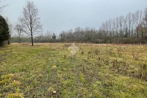 TER. AGRICOLO A CASALE SUL SILE