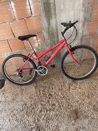 Bicicletta Mountain bike Rossa