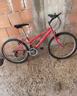 Bicicletta Mountain bike Rossa