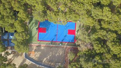 CAMPO PALLACANESTRO