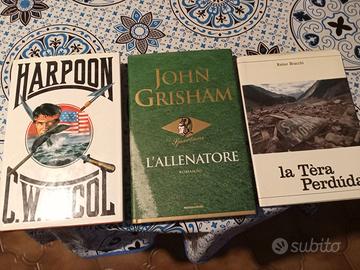 Nicol + Grisham + Bracchi