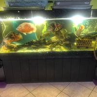 acquario completo 