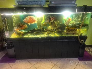 acquario completo 