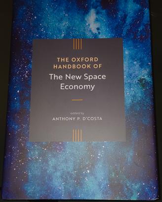 the oxford handbook of the new space economy