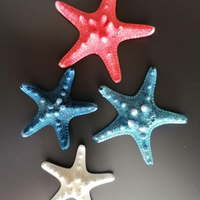 Stelle marine (vere) colorate