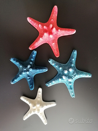 Stelle marine (vere) colorate