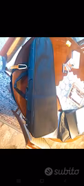 Violino