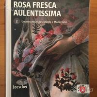 Rosa fresca aulentissima 2