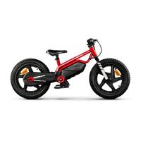 Ducati E-Moto Kids – Balance E-Bike Elettrica