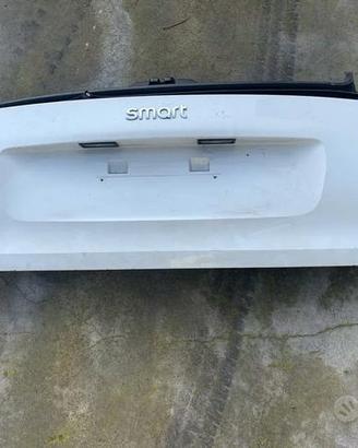 Bauletto cofano posteriore Smart for two 453