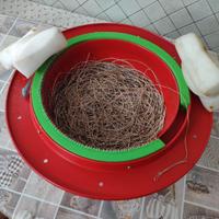 Palamito 85 ami misura 12