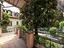 Immagine 11