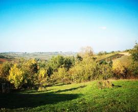 Terreno edificabile, colline Val Tidone