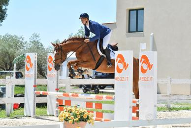 Cavallo