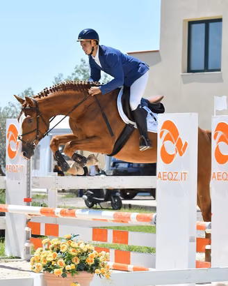 Cavallo