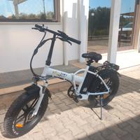 bici elettrica 