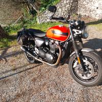 triumph speed twin 2019