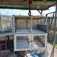 Trasportino cani per auto