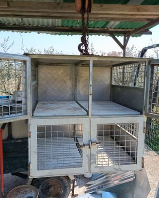 Trasportino cani per auto